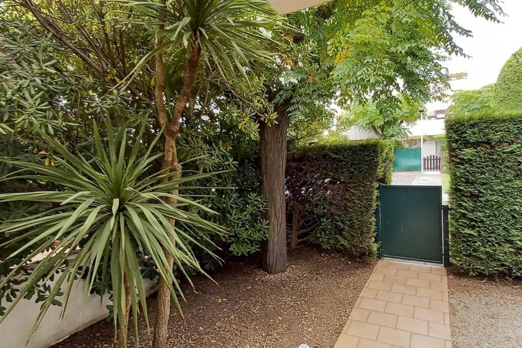 Location Grande Motte Vacances La Grande-Motte Exterior photo